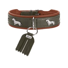 Dachshund halsbånd oliven