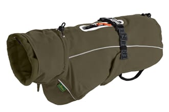 Dog Coat Nordby Dachshund Olive