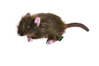 Dog Toy Wildlife Rat