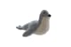 Skagen Seal