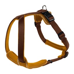 Neopren sele brun/karamell