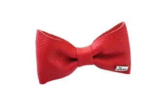Paris Bow Tie