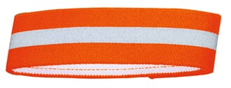 Reflecting Collar Elastic