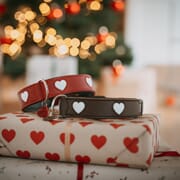 God jul fra Hunterfamilien