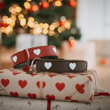 God jul fra Hunterfamilien