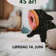 Hunter 45 år!