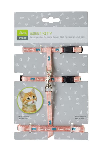 Sweet Kitty Harness Set