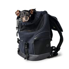 Backpack Madison 35x20x42 cm