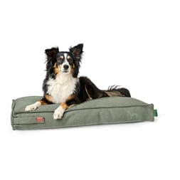 Belluno Madrass Mint