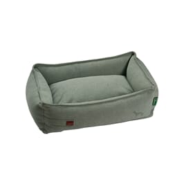Belluno Mint