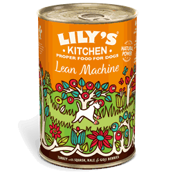 Lily's Kitchen Lean Machine 400g